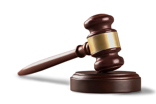 AI legal software consultation