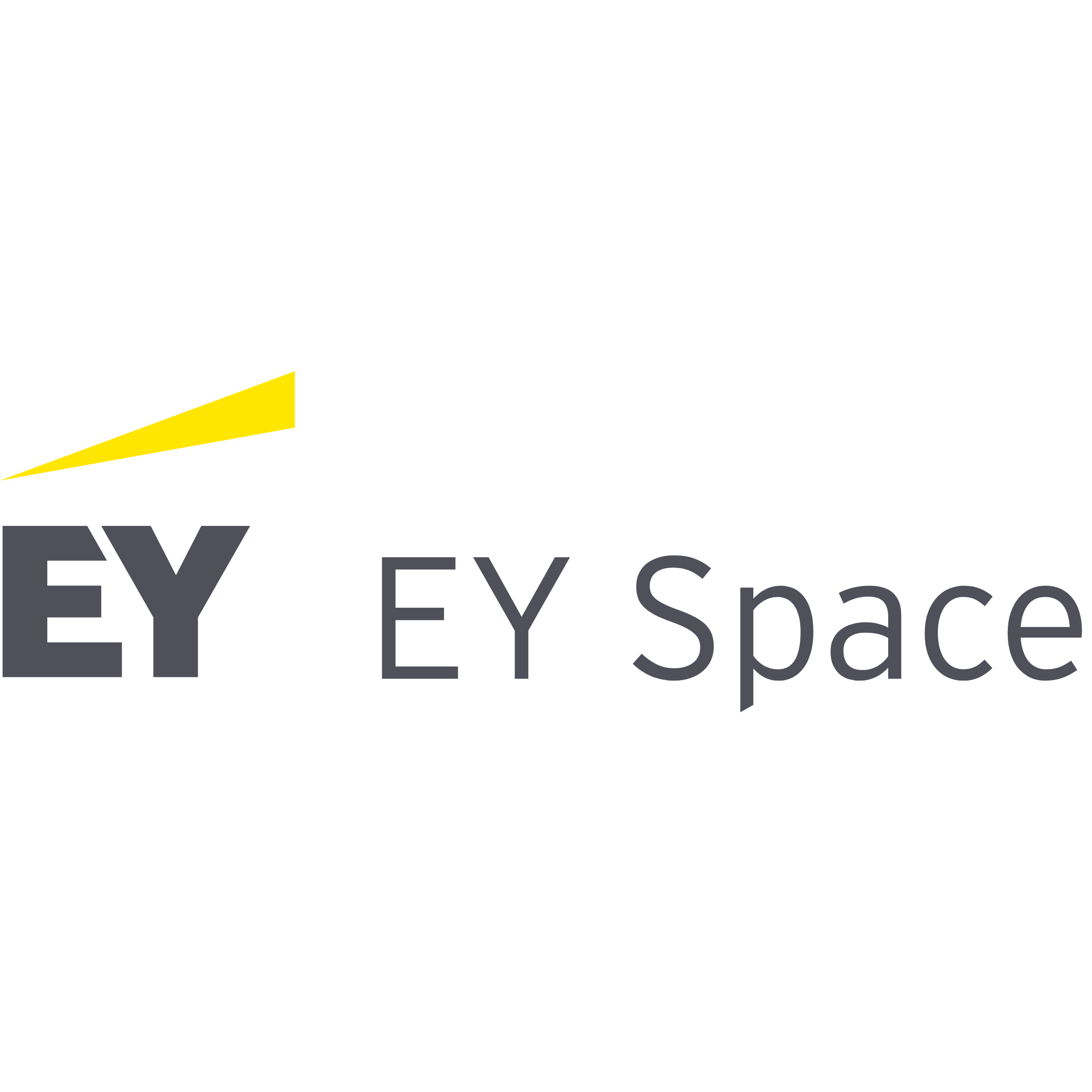 ey-space-webapp-logo